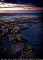 Farne Islands in the Evening- Seahouses